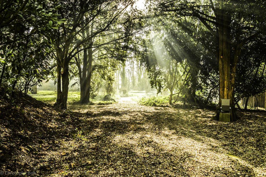 Les Jardins D'Epicure Hotel Bray-et-Lû Eksteriør billede